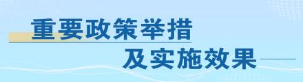 重要政策举措及实施效果